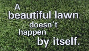 lawn care st louis