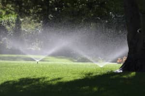 Sprinkler System Installation