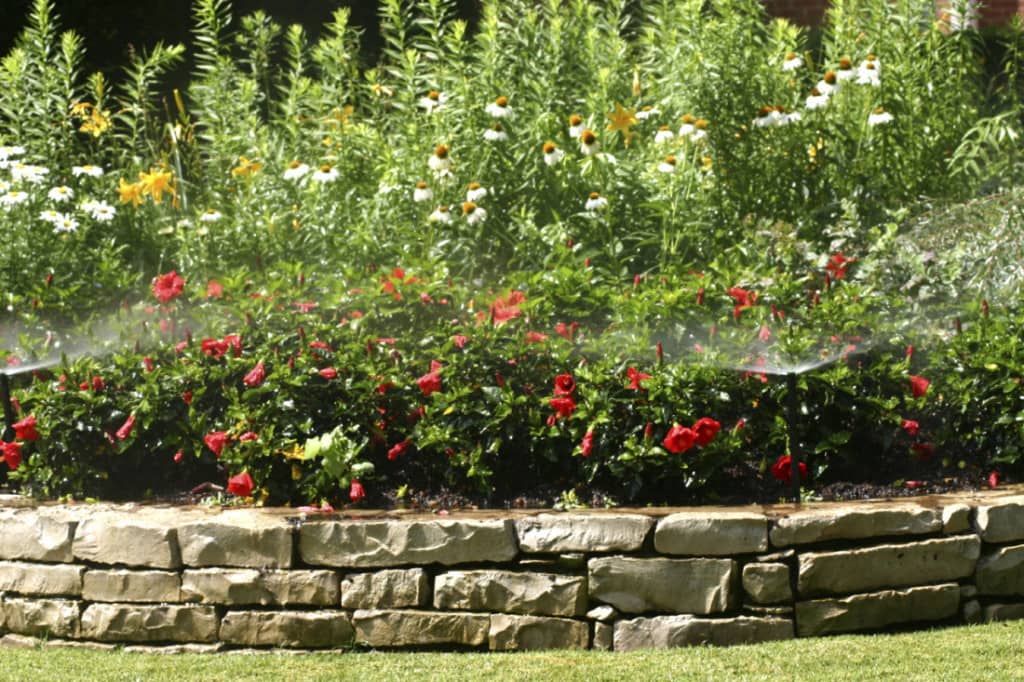 5 Favorite Landscaping Flowers - Allen Outdoor Solutions