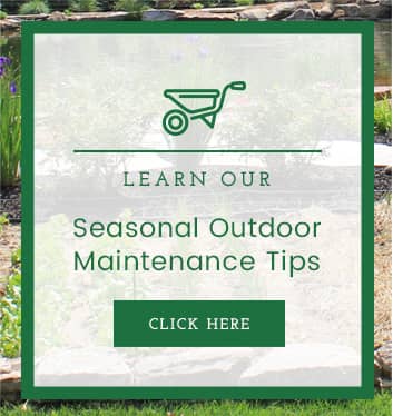 Learn Our Seasonal Outdoor Maintenance Tips