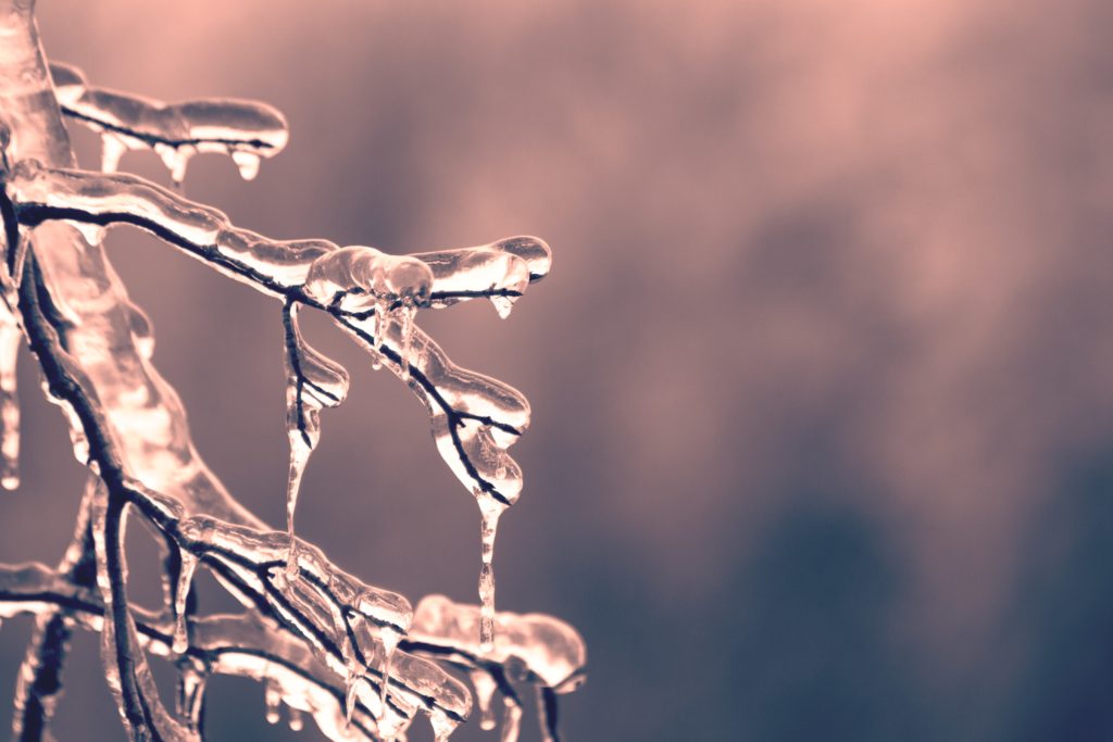 Emergency Measures for Taking Care of Your Frozen Irrigation System