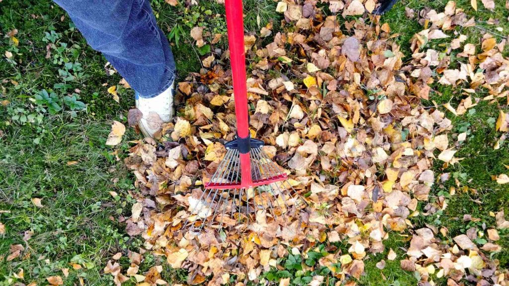 landscape maintenance for fall