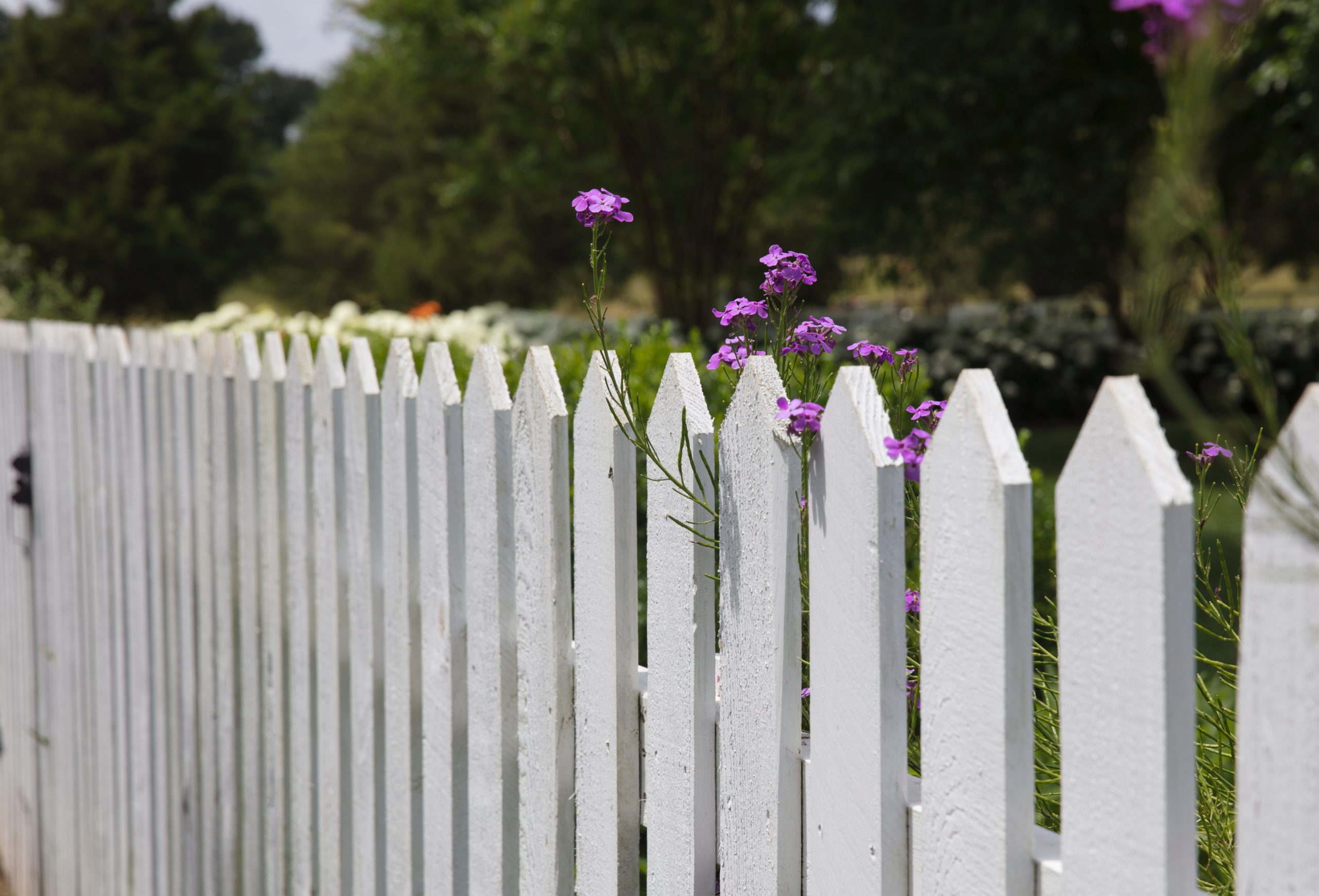 Outdoor fence companies install white picket fence
