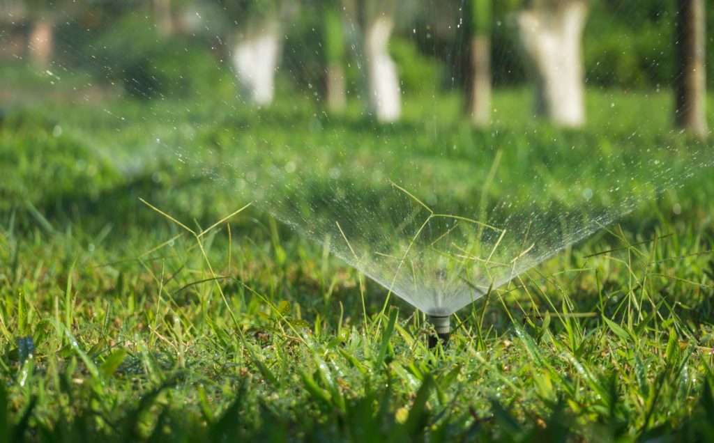 A sprinkler repair success