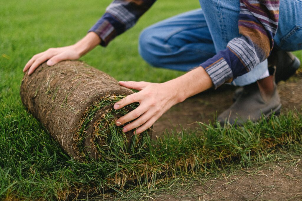 Man completing sod installation in St. Louis