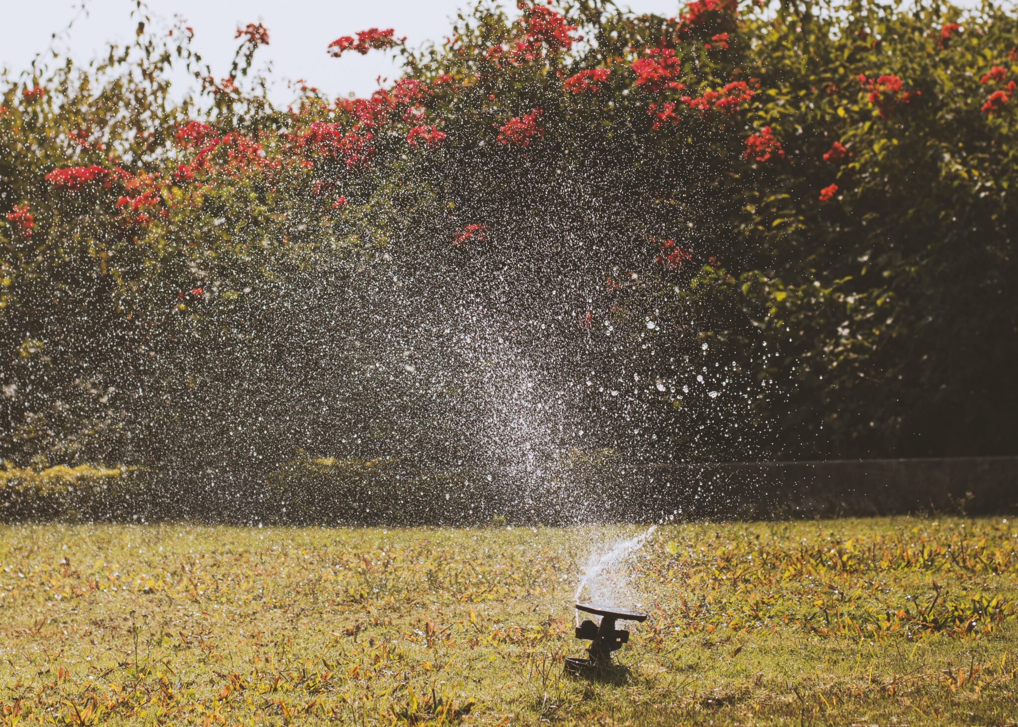 How to Get the Best Sprinkler Design Layout Allen Outdoor