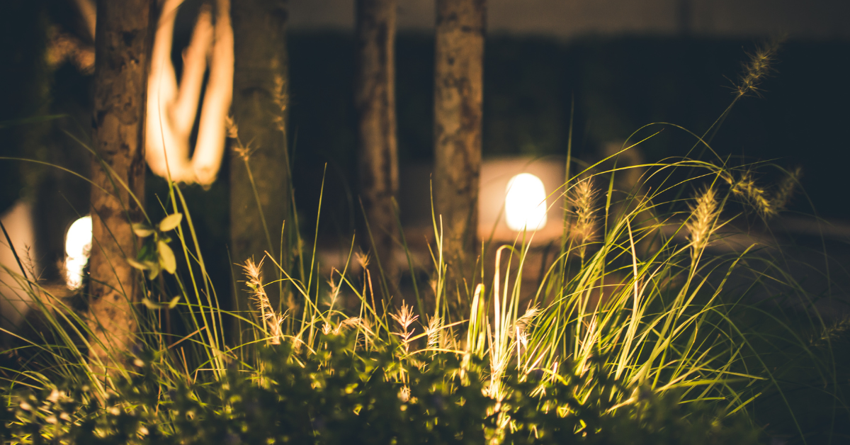 Outdoor landscape lights illuminating trees in a beautifully lit backyard at night.