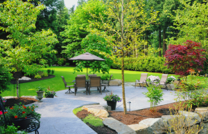 tree landscaping st louis