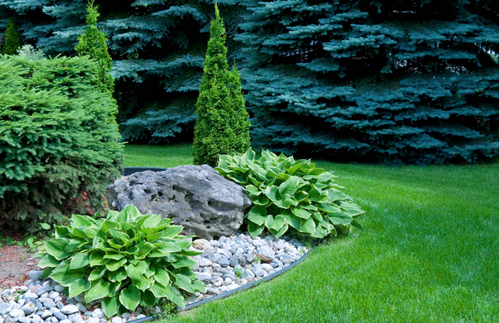 landscaping
